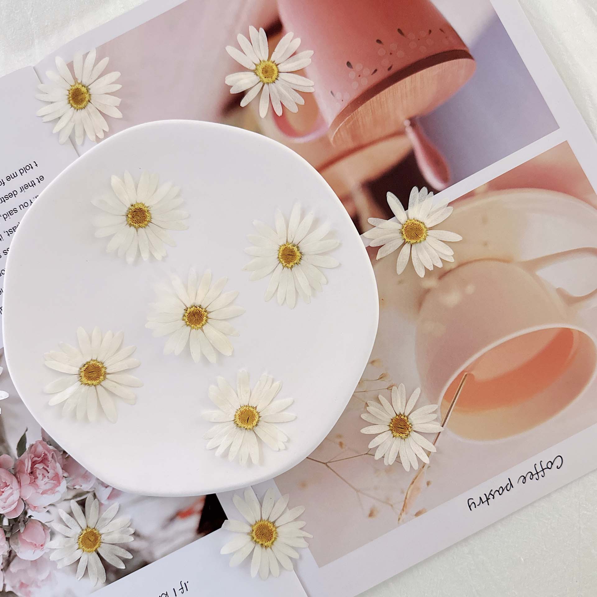 Pressed Flower Marguerite DIY Handmade Material Kit Resin Droplet Glue Craft Ornament Phone Case Frame Petal Makeup