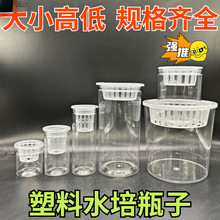 ����ˮ���A���Ύ����ӻ@��ˮ�໨�軨�ܷN��͸��ˮ���߲˶�ֲ�Gֲ