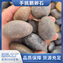 手挑鹅卵石园林造景变压器路滤油水过滤用鹅卵石景观石石笼鹅卵石