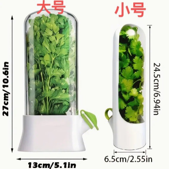 Caja de conservación de verduras de vainilla transfronteriza de Amazon