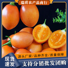 ��ϱ�ɽ��䷬��5�������Ѻ�Ҋϡ��ˮ���������rˮ����S���]