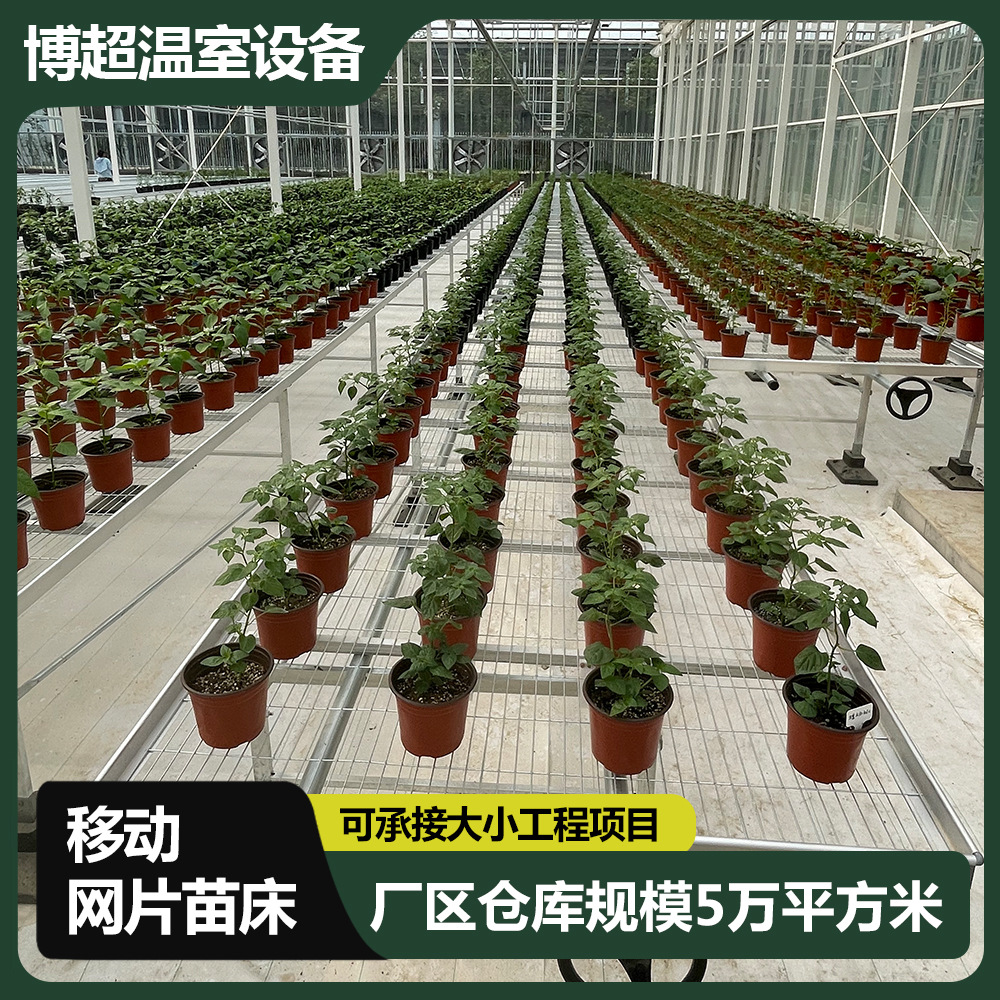 热镀锌移动网片苗床育苗养花栽培床可平移苗床网厂家批发