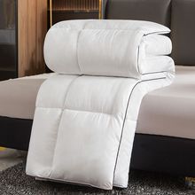 羽绒被五星酒店款95白鹅绒春秋被冬被加厚保暖单双人宿舍