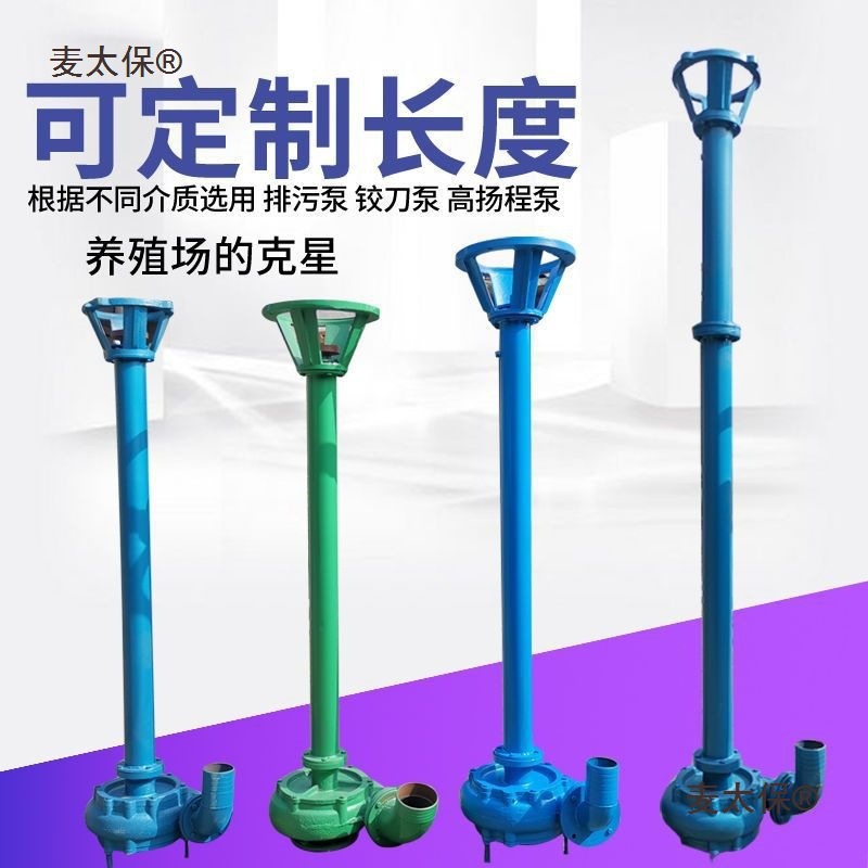 2寸3寸4寸杆泵NWL铸铁排污泵高压带电机泥浆泵抽粪泵化粪池麦太保