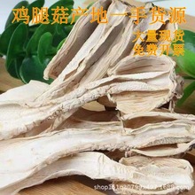 古田特产食用菌鸡腿菇批发煲汤菌菇酒店食材鸡腿菇批发