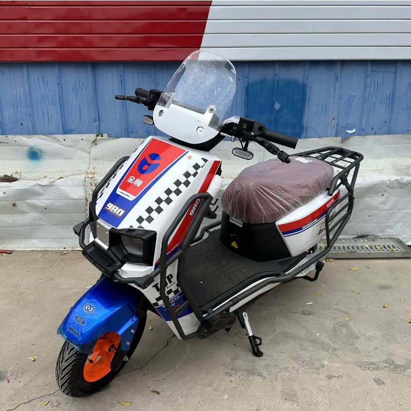 Motocicleta Eléctrica de Dos Ruedas de 2000W