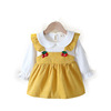Autumn corduroy set, small princess costume, skirt girl's, dress, suitable for import