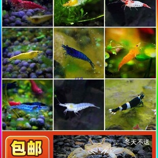 �^�p�r�ײͻ��w�ښ��r�����r�ѻ��O��ˮ���~�׵�ˮ�����r�����rҼ