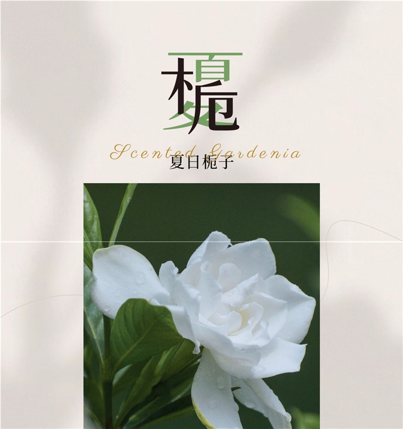 Tea-scented aromatherapy for home use in the bedroom, long-lasting fragrance, odor eliminator, gardenia freshener, bathroom perfume, toilet deodorizer