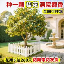 �𻨘�����¹��𵤹��ļ������Դ��༾�_��ͥԺ�e������