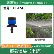 ¶ꖿ��{����΢�����^ 8�׼tɫ��ȵι�܎��������^PE��ë�ܵ��^