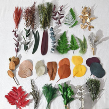 λ ɻ  DIYz仨 ㉺ ɻl