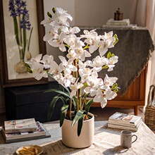 �ָк����m���Ի��ٻ��͏d����[���͏d�Ƶ�ǰ̨�[�O�b�