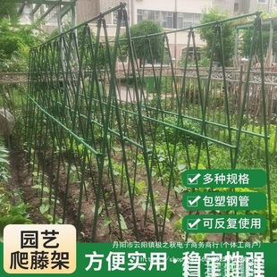 Plant Trellis for Growing Beans, Cucumbers, and Melons in All Seasons