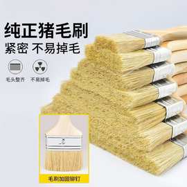油漆刷子猪鬃毛刷清洁家用刷涂胶水烧烤刷油工业加厚鬃毛不掉毛
