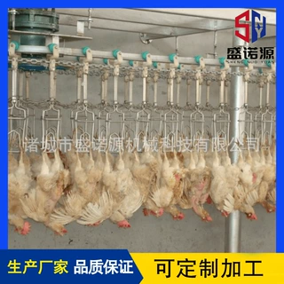 厂家生产红毛蛋鸡宰杀流水线 时产1000只鸡屠宰流水线全自动控制