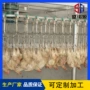 自动红毛生产宰杀流水线