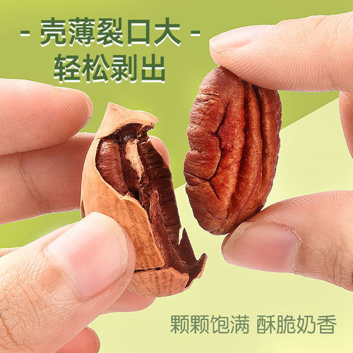 Pecan wholesale nut snack manufacturer casual snack dried fruit 500g cream American walnut thin shell longevity fruit