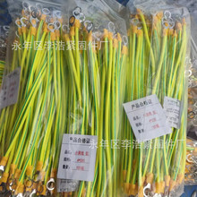 �S�G�pɫ�ӵؾ����ܛ�~������B�Ӿ�����M����Ӿ��~��ȼ�ӵؾ�