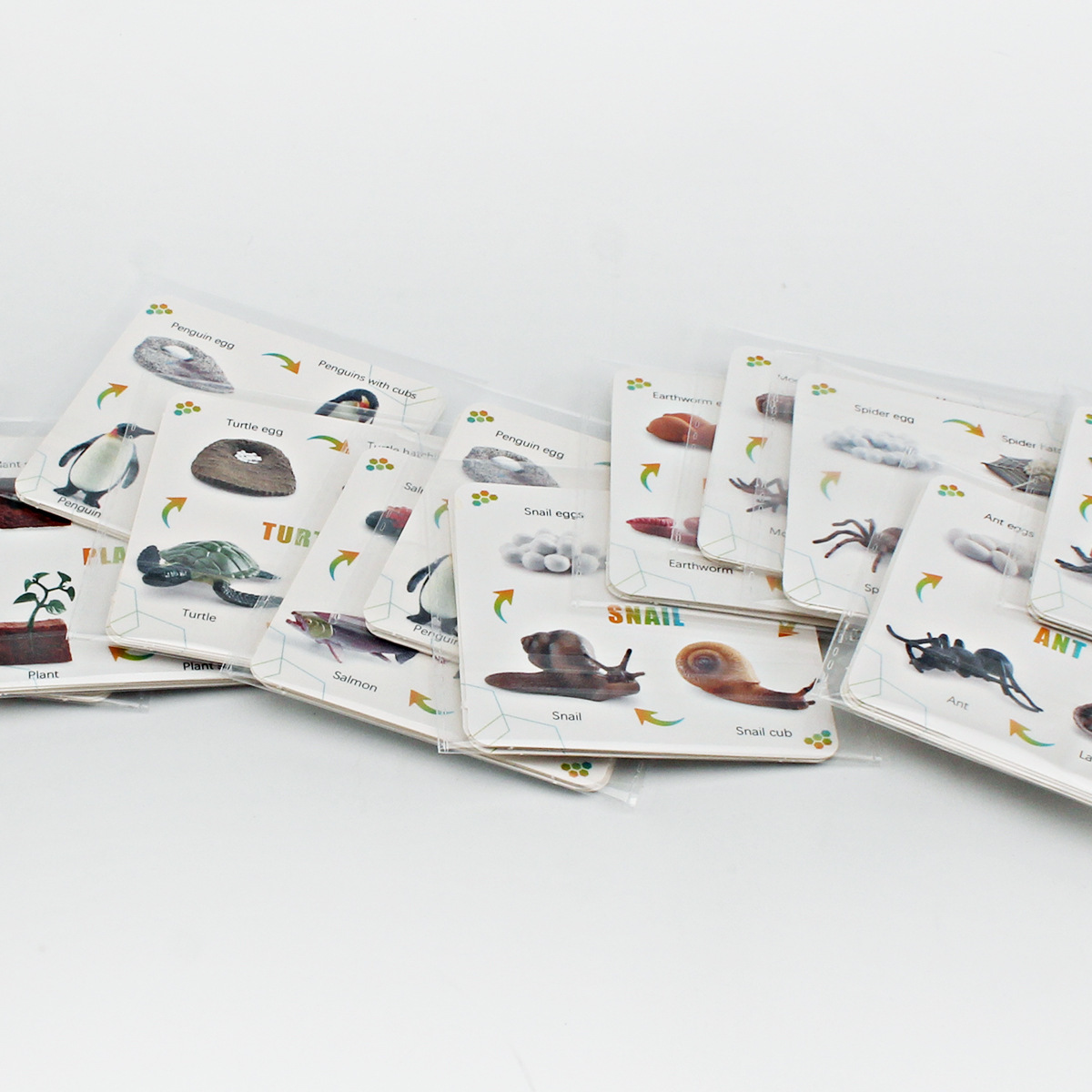 Tarjetas Didácticas de Aprendizaje Infantil de Papel para Desarrollo Intelectual y Educación Temprana