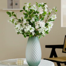 b[𻨼ٻ滨ǧ߶p͏d ݲ͏d [O