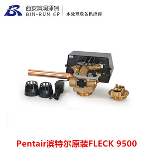 �I�ؠ�Pentair ԭ�bFLECK���R���y9500 ����9�� �M��ˮ��1.5��