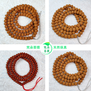 ԭ����ʽС���������ִ�108�w������������������M��������l