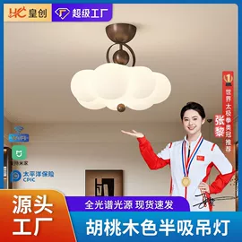 风扇灯;吸顶灯;智能家居