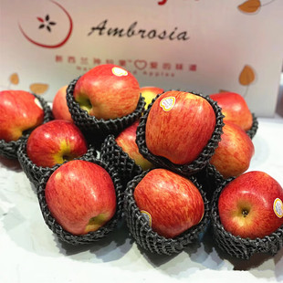 �V�ݽ������lֱ�l����S�������M�����ɹ��O��Ambrosia������