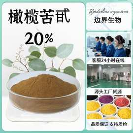 20%橄榄苦甙 橄榄叶提取物现货供应橄榄苦苷32619-42-4橄榄苦甙