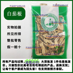 中药材白茄根新货 茄根 切片 白茄子根 中草药中药材批发零售代发