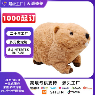 �S�Ҷ����¿�����ë�q�����������﹫�б��탺ͯ�Y�ﶨ��С����