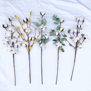 �F؛�羳�����޻��ɻ�ľ�޻�֦�}�Q�Ҿ��b�DIY�������߹��S���l
