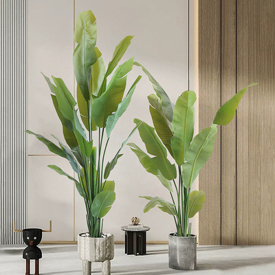 胶布叶片手感材质仿真芭蕉树热带阔叶绿植北欧INS风室内客厅植物|ru