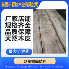 现货进口欧橡树瘤天然实木木皮家居室内榆木贴面装饰装潢欧橡木皮