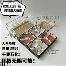 ���������\����չ����ρ����ֳ��B�������C3D����̽��