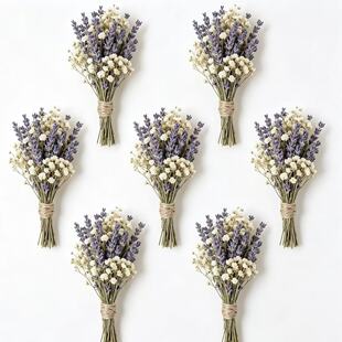 �ɻ�޹�²ݻ�����޹���DIY���ϔ[����Y�ػ����ֶY�}�Q�����b�