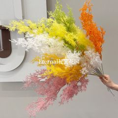 祥雲花火蓬莱松永生花龍須草乾花diy材料撮影シミュレーション花霧氷昼花火