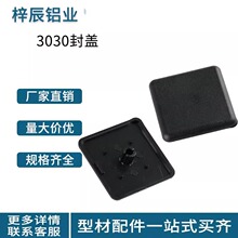 3030�����w�� ���I�X�Ͳ������z�w�� 3030�����X�Ͳ��w����^�w