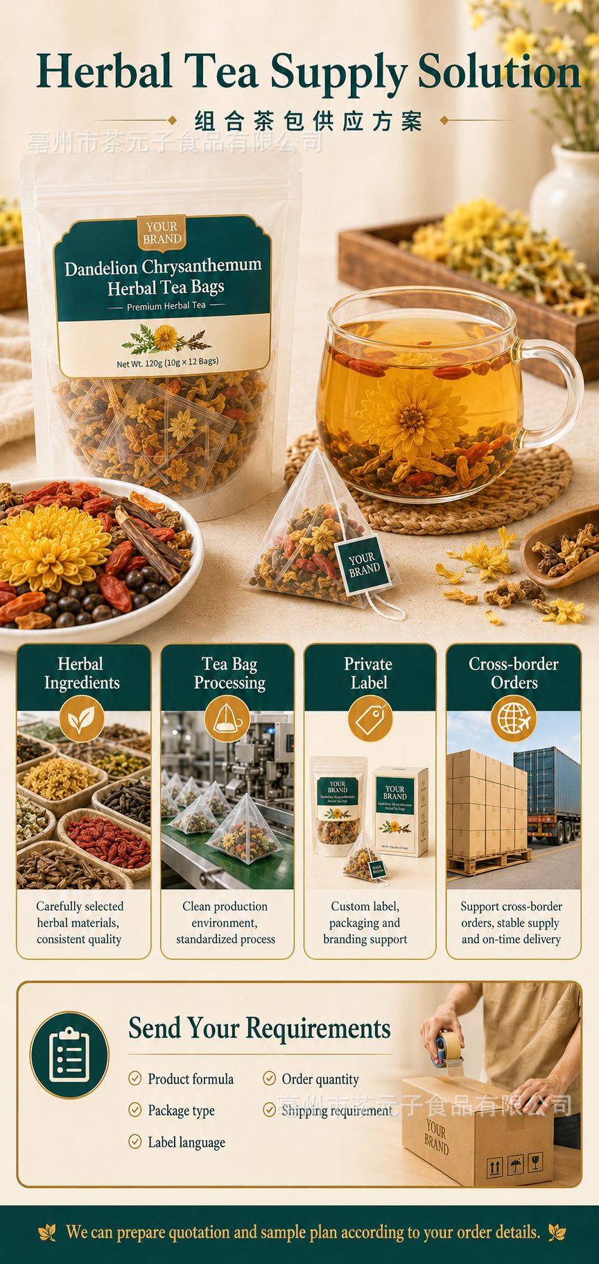 Dandelion Leaf and Root Tea with Chrysanthemum Cassia Seed Goji Berry 120g 12 Bags in use