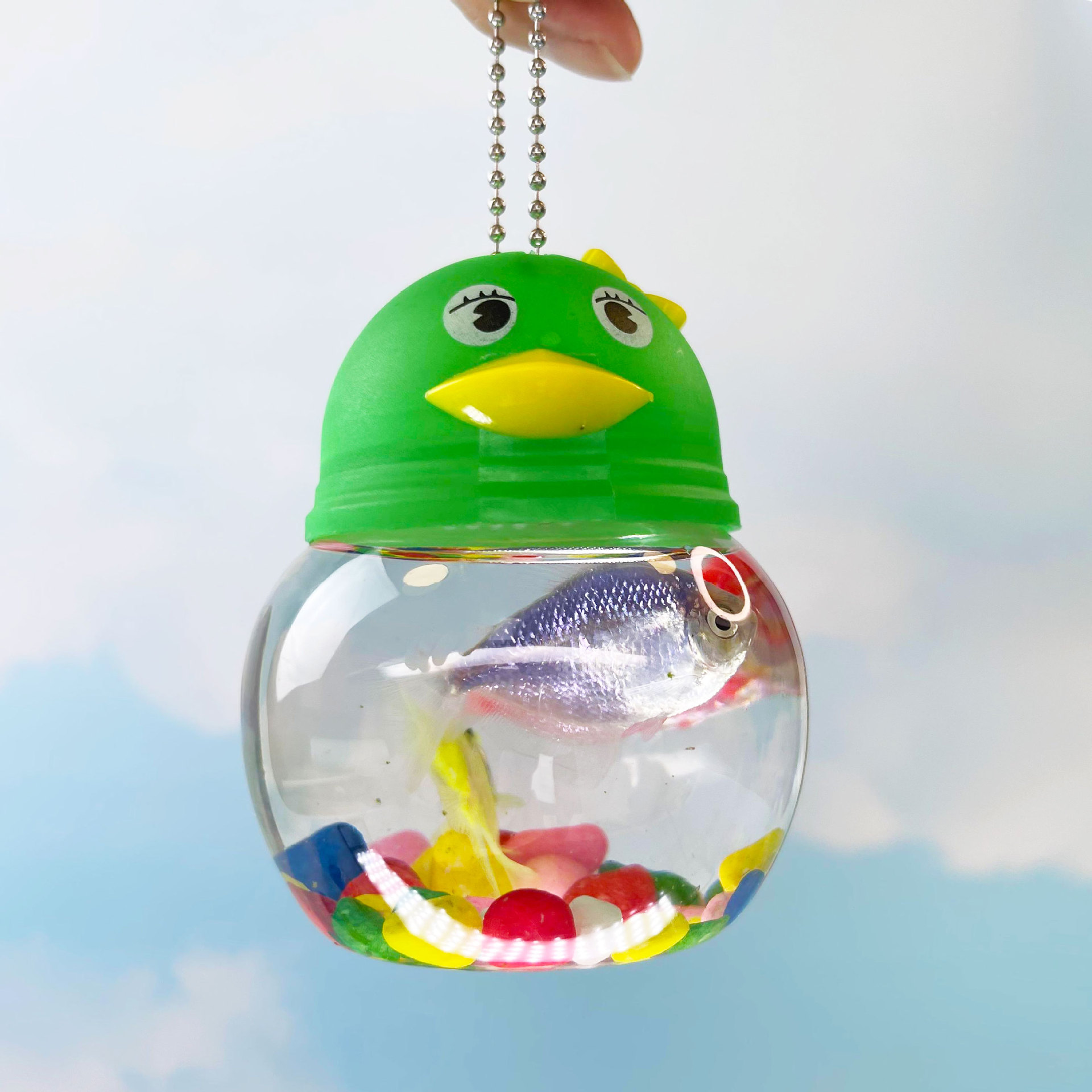 Botella QQ mini botella de pescado de dibujos animados caja de tortuga para niños caja de mascotas portátil con cuerda mercado nocturno parques puestos al por mayor