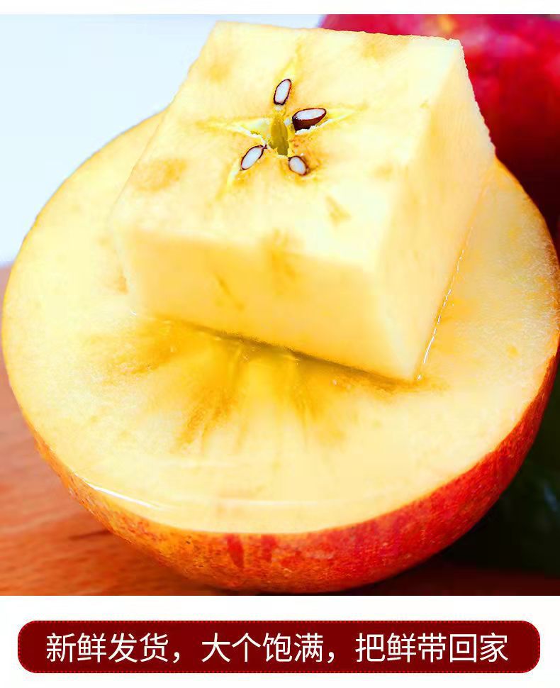 微信图片_2021110620481911