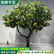 �������Ә��҃��b����̈��Ƶ���̨�쾰�������Ә� �������Ә�
