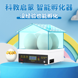 Free Shipping Mini Incubator Chicken Duck Turtle Bird Egg Small Incubator Home Automatic Constant Temperature Incubator 4