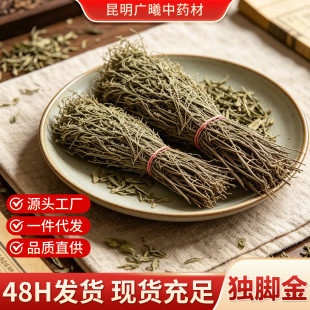 ���ڏV��Ұ�����_����ș�ĸ�؛���l�oѬ��oȾɫ�o����һ�����l
