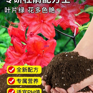 �N���N�������϶��N���I�B���B��ͨ����������������