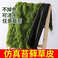 ����̦�\��Ƥ������̦�\�����ƺ��������̦΢���^�Gֲ�쾰�ٲݽz