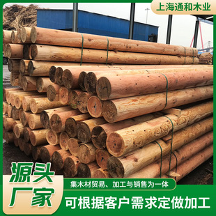 ���l�������ľ�S�����ɈA���Aľ�Ž�ɼľ����ľľ���Fɼľ������