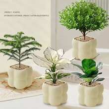 �k��������Gֲ�����҃ȿ͏dins�����LС�����ļ����˺��B��ֲ��