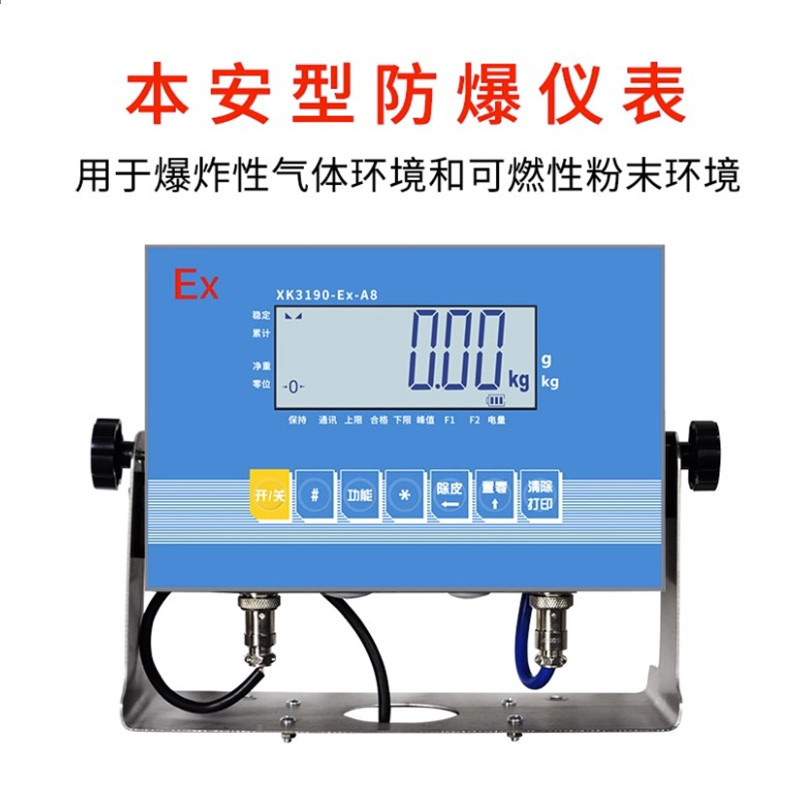 耀华防爆仪表图